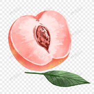 七彩直播平台的用户群体APP应用